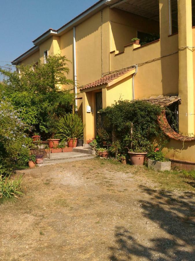 Paestum House Bed & Breakfast Dış mekan fotoğraf